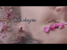 Charger et lire la vidéo dans la visionneuse de la Galerie, La légende d'Astrid et autres histoires