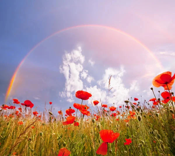Découvre le pays magique de l'arc-en-ciel ! - Partons en voyage