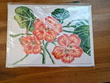 Charger l'image dans la galerie, Cartes de souhaits, colibri et fleur Cartes Madeleine Fortier, écrivaine 
