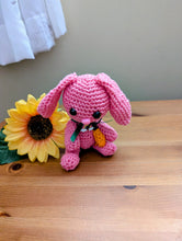 Charger l'image dans la galerie, Praline le lapin
