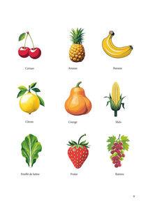 L'art raconté aux enfants activité Cherche et trouve, Arcimboldo Activités pour les enfants - Artistes Madeleine Fortier 