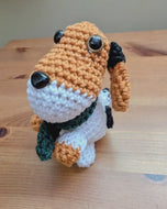 Nougat le petit chien